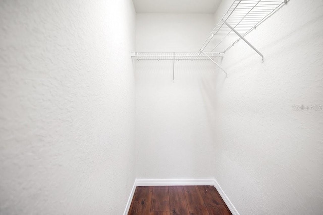 walk in closet featuring hardwood / wood-style floors