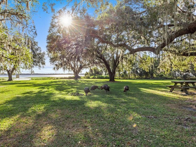 5100 Helen Ct, Saint Cloud, FL 34772 - photo 50