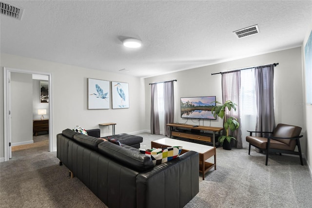 living room featuring carpet flooring and a textured ceiling