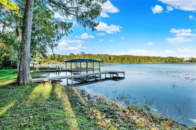 dock area with a water view