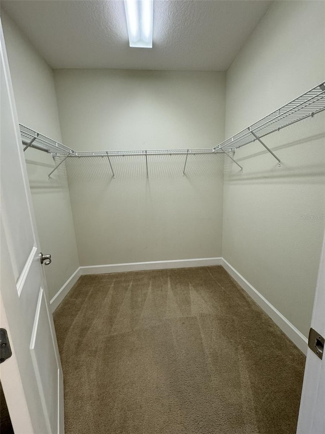 walk in closet with carpet