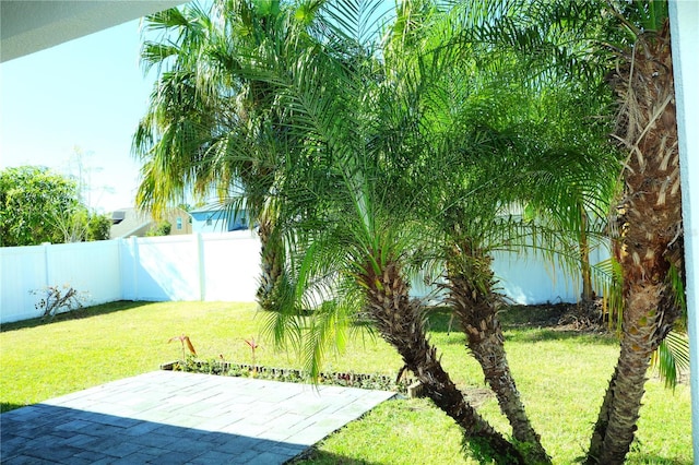 view of yard featuring a patio area