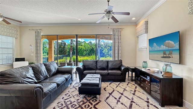 living room featuring ceiling fan, a textured ceiling, and ornamental molding