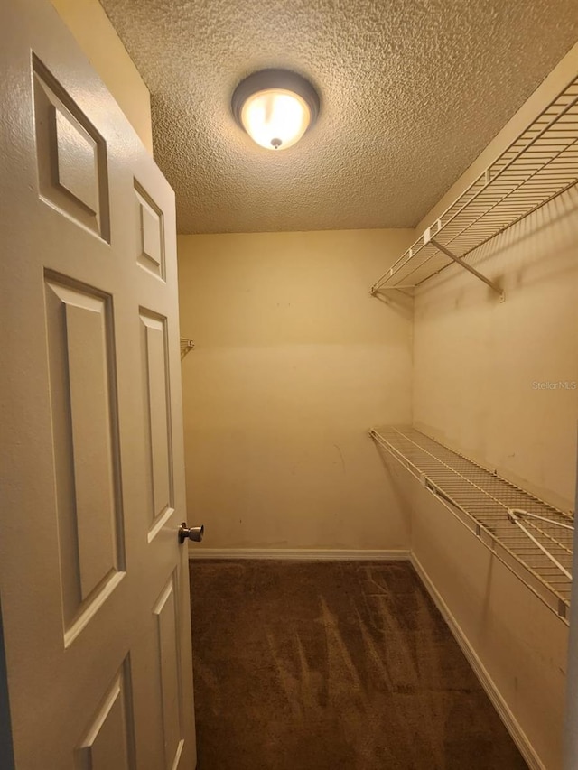 walk in closet with dark colored carpet