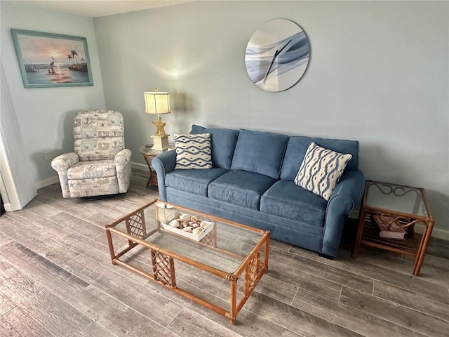 living room with wood-type flooring