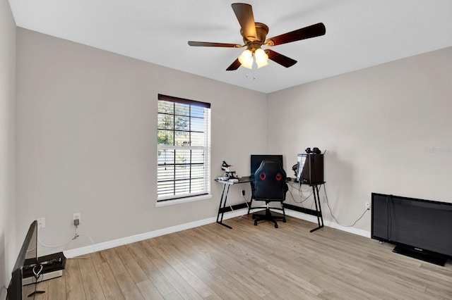 office featuring light hardwood / wood-style floors and ceiling fan