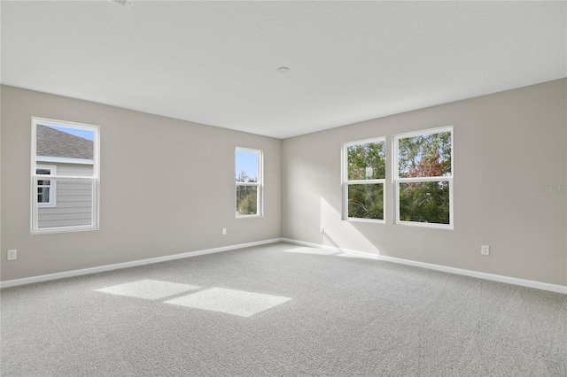 unfurnished room featuring carpet flooring