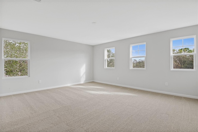 spare room with carpet floors