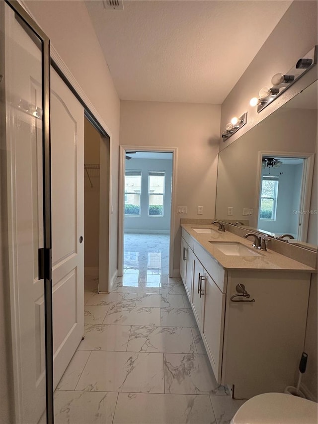 bathroom with vanity and plenty of natural light