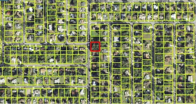 824 S Apopka Ave, Inverness FL, 34452 land for sale