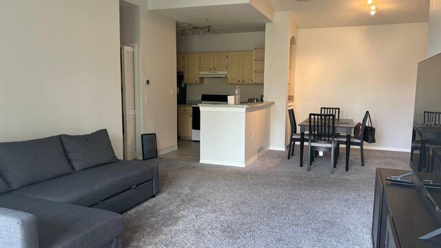 1150 Lake Shadow Cir Unit 3304, Maitland, FL 32751 - photo 6