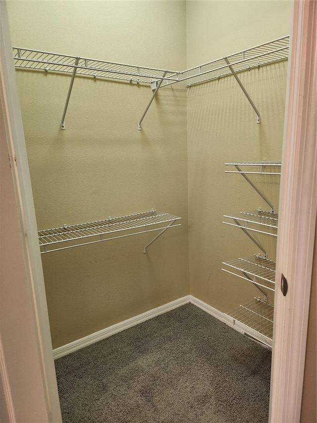 walk in closet with carpet