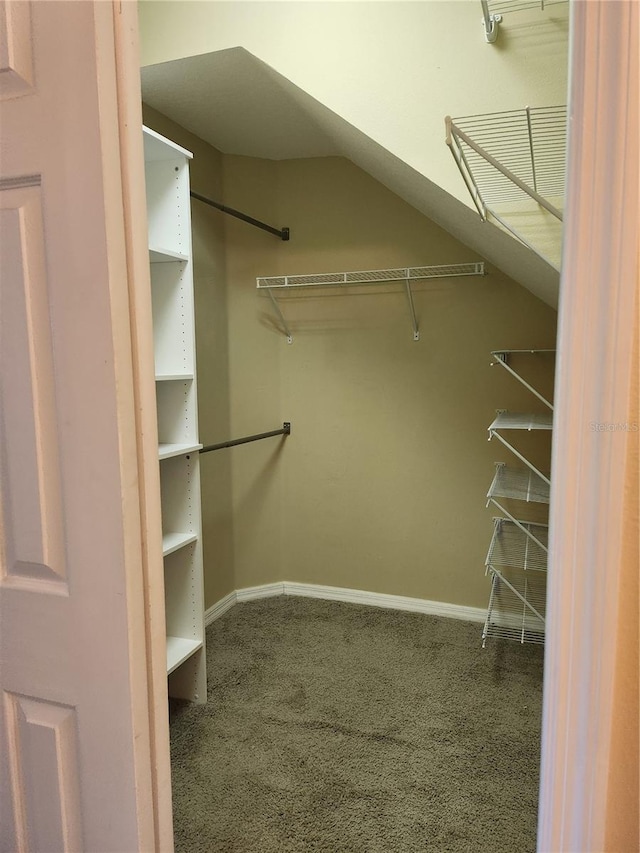 spacious closet featuring carpet