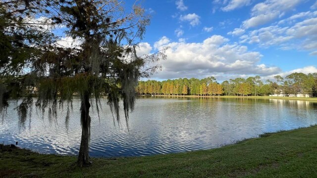 water view