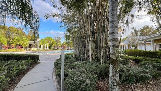 view of home's community with a swimming pool