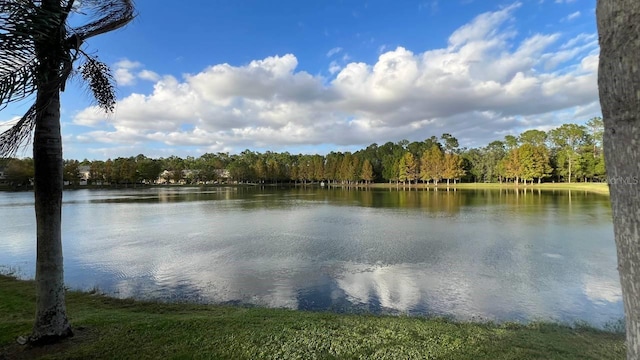 view of water feature