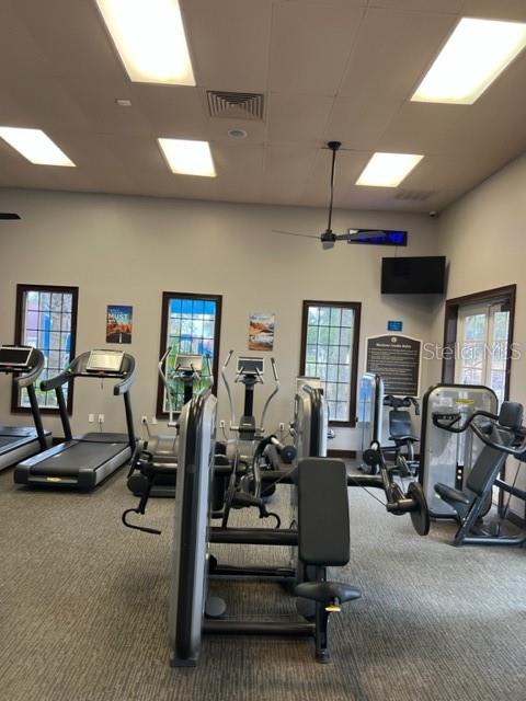 gym with carpet flooring and a wealth of natural light