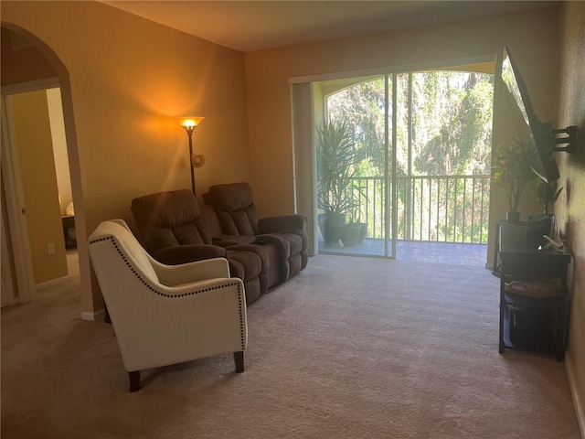 living room featuring carpet flooring