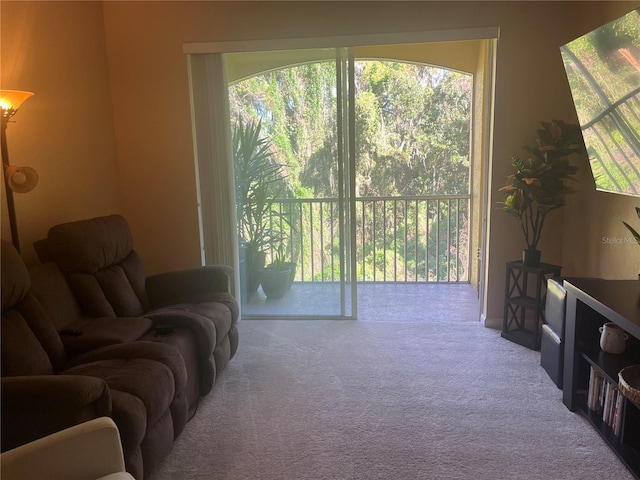 living room featuring carpet