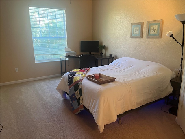 bedroom with carpet flooring