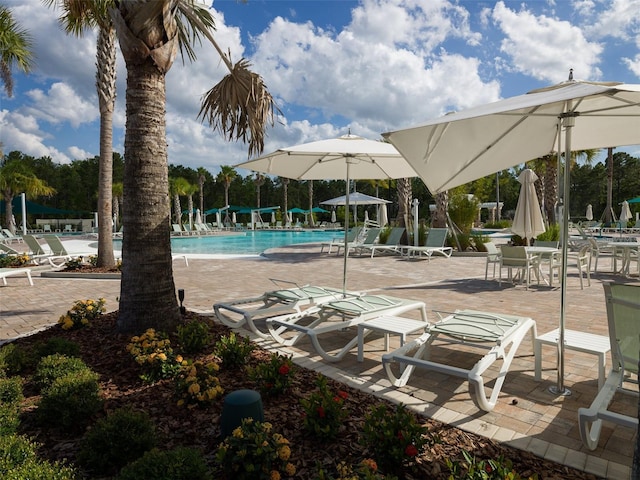 view of pool with a patio area