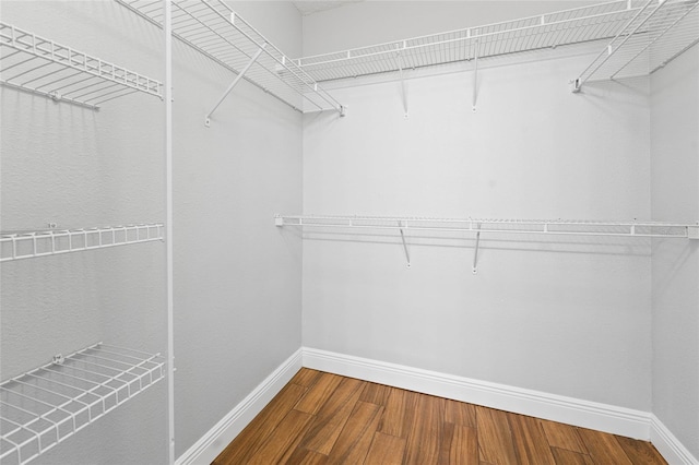 walk in closet featuring wood-type flooring