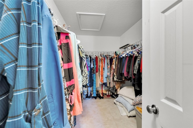 view of spacious closet