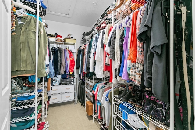 spacious closet with light carpet