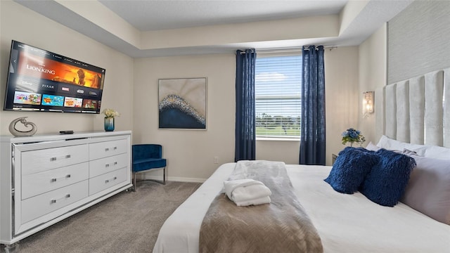 bedroom featuring a raised ceiling and light carpet