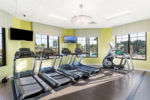 exercise room with wood-type flooring and plenty of natural light