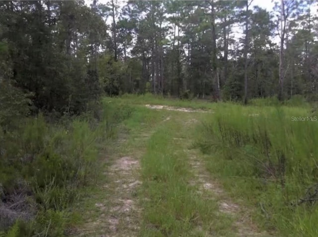 SW 25th Pl, Ocala FL, 34481 land for sale