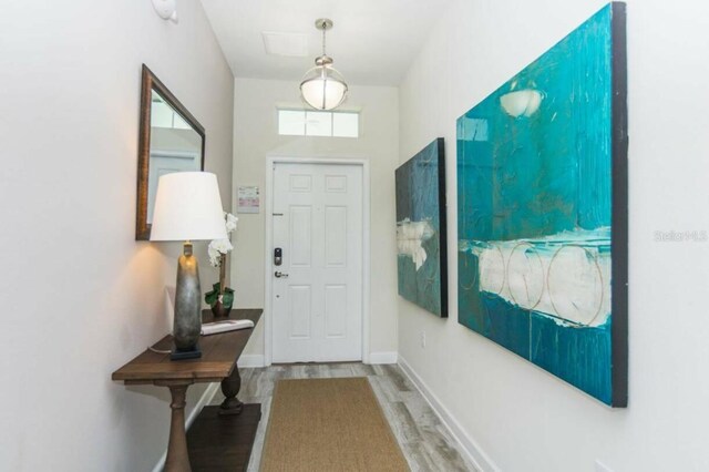 foyer featuring wood-type flooring