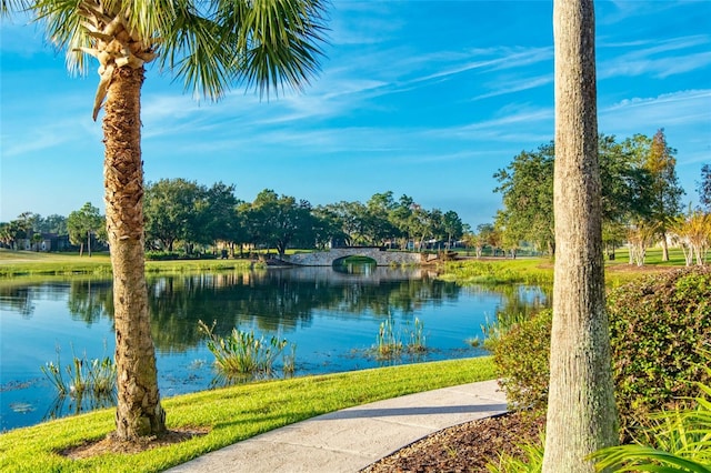 property view of water