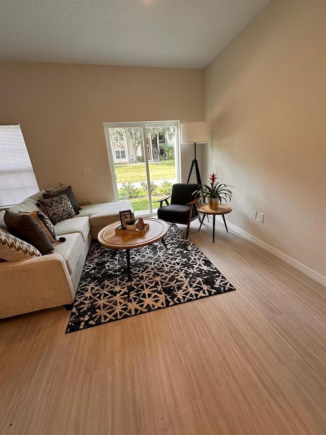 living room featuring hardwood / wood-style flooring