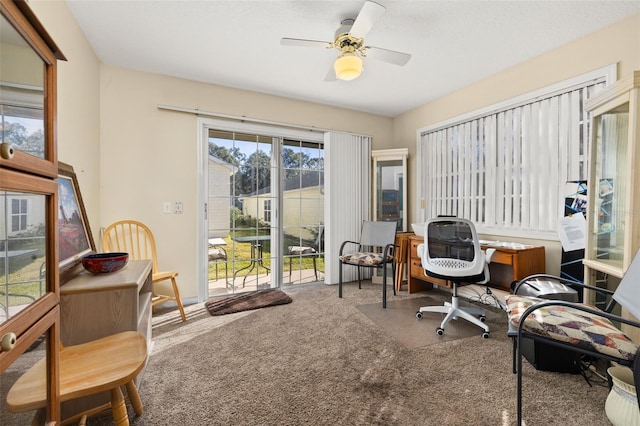 5846 Greenbriar Ct, Zephyrhills, FL 33542 - office featuring ceiling fan and carpet flooring