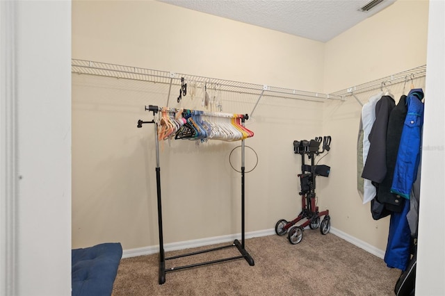 5846 Greenbriar Ct, Zephyrhills, FL 33542 - workout room featuring carpet flooring and baseboards
