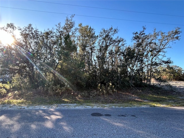 0 Amero Ln Unit 13, Spring Hill, FL 34609