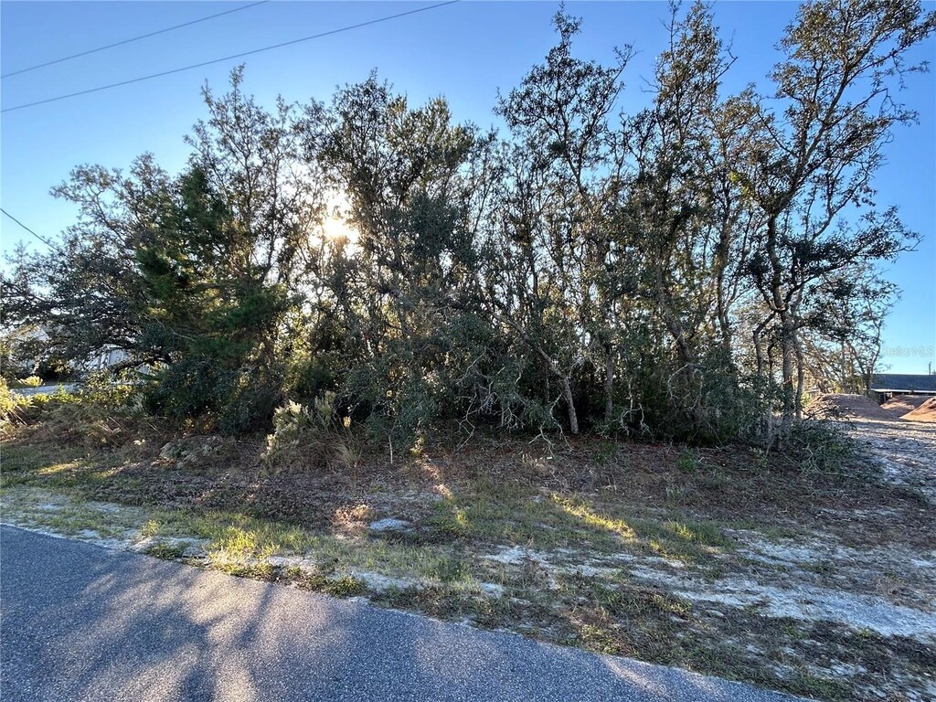 0 Amero Ln Unit 13, Spring Hill, FL 34609