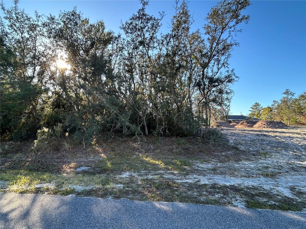 0 Amero Ln Unit 13, Spring Hill, FL 34609