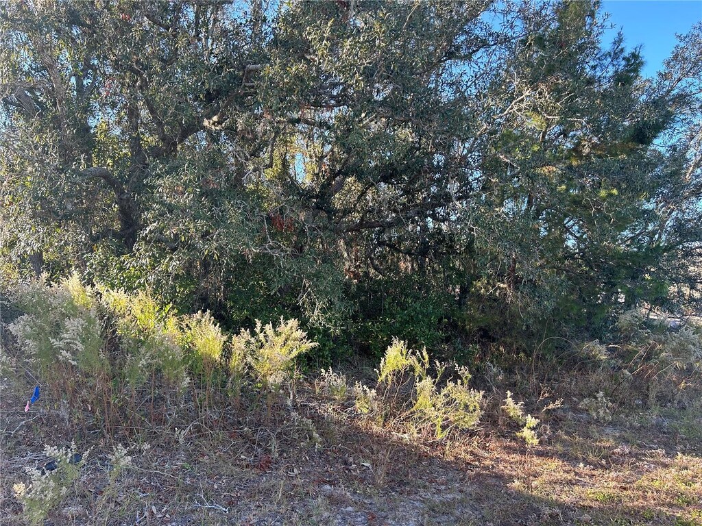 0 Amero Ln Unit 13, Spring Hill, FL 34609
