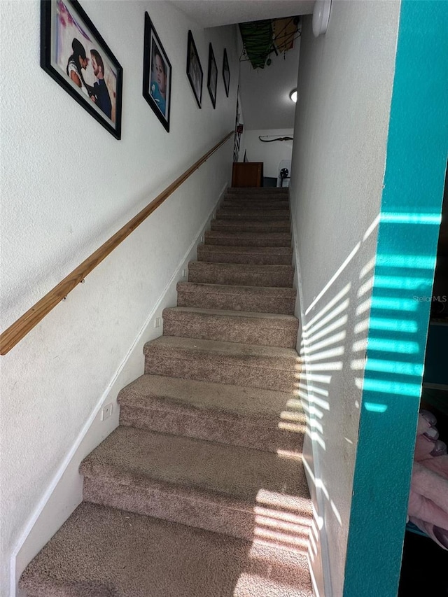 stairway featuring carpet floors