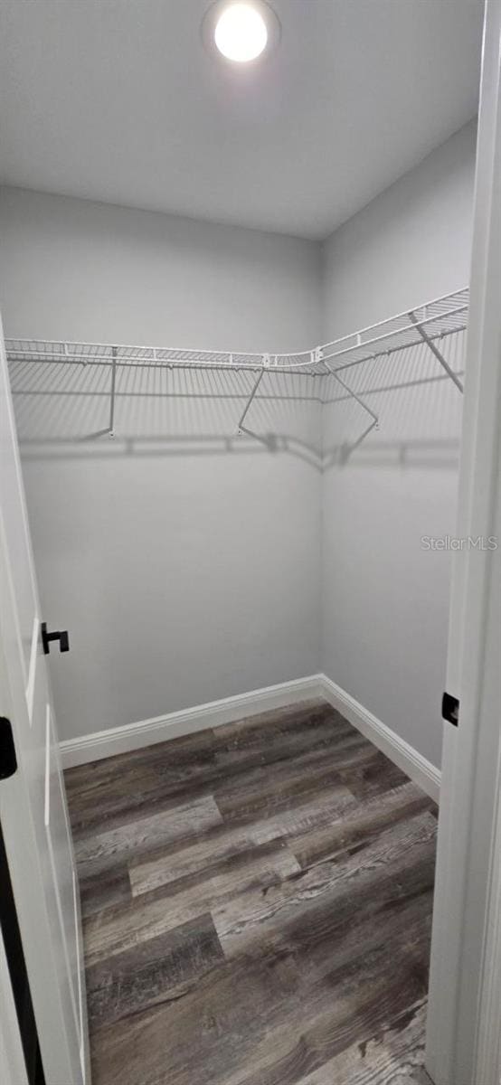 1030 Darlington Ct, Kissimmee, FL 34758 - walk in closet featuring dark wood-type flooring