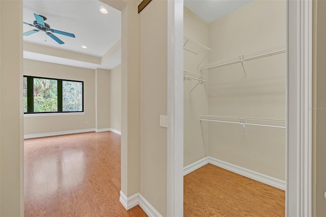 spacious closet featuring ceiling fan and hardwood / wood-style flooring