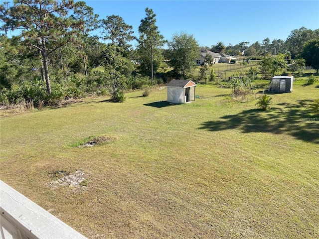 view of yard with a storage shed