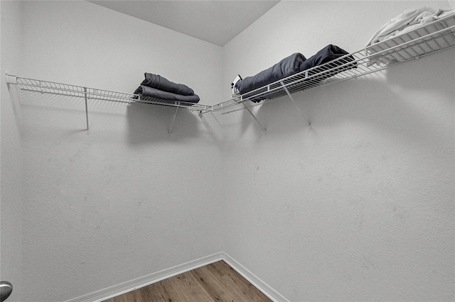 walk in closet featuring hardwood / wood-style floors