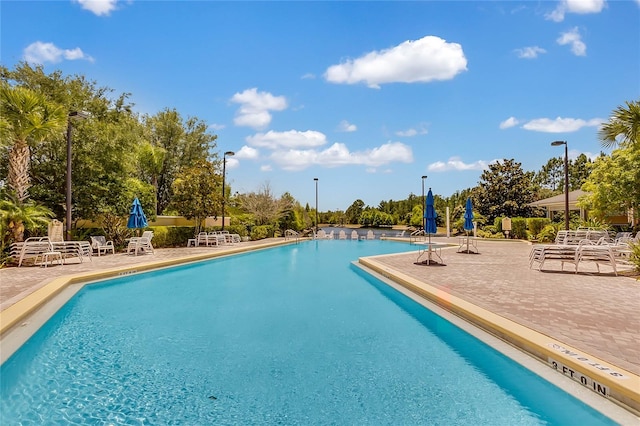 view of swimming pool featuring a patio