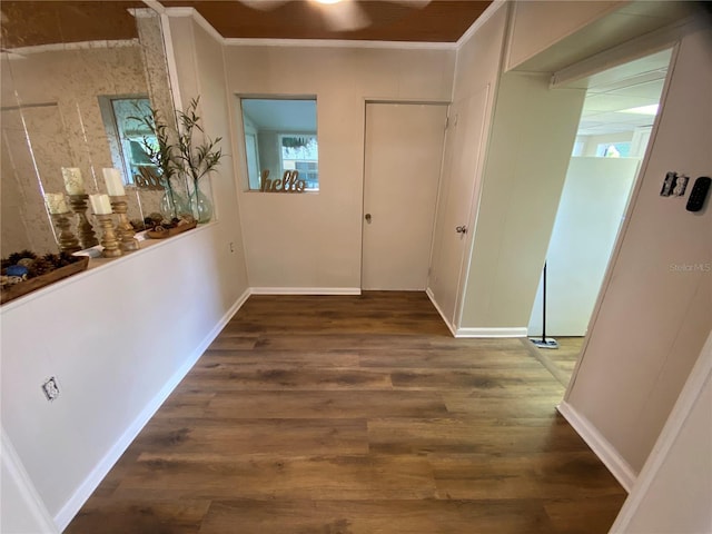 hallway featuring crown molding and dark wood-type flooring