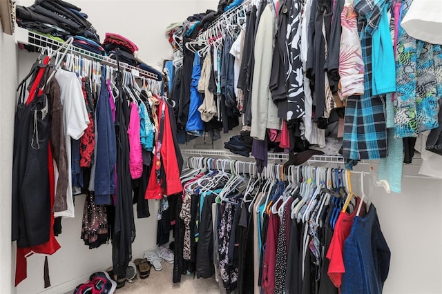 spacious closet featuring carpet floors