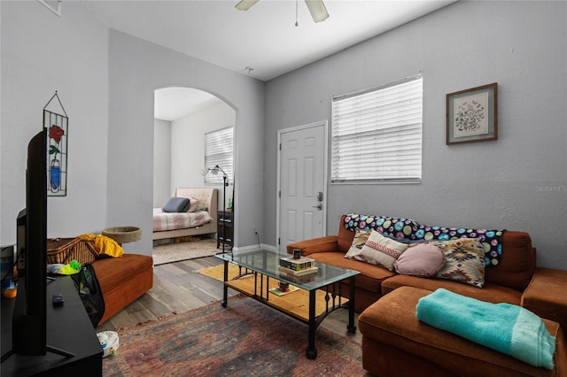 living room with hardwood / wood-style flooring and ceiling fan