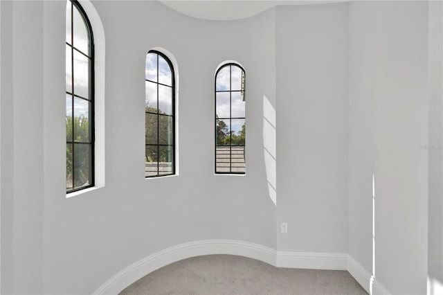 carpeted empty room featuring a wealth of natural light